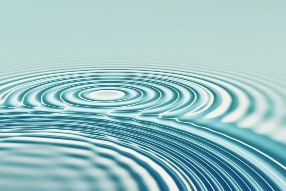 Casino Mr Spin Suporte